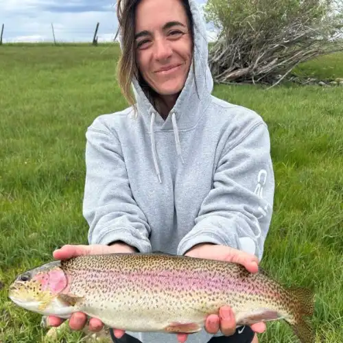 Sarah 3